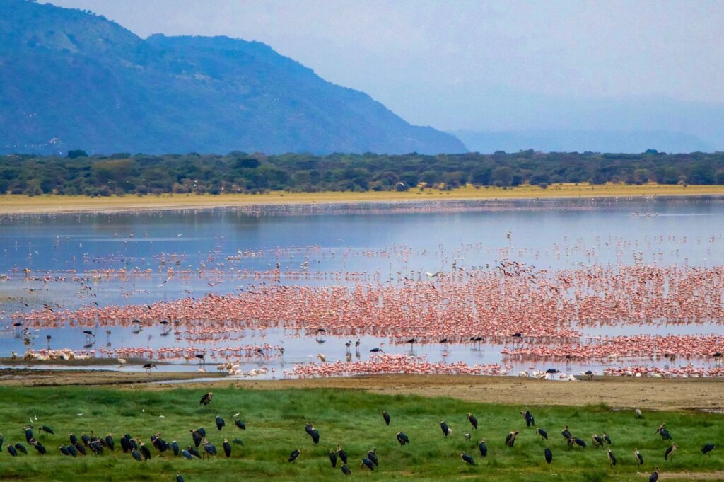 Lake Manyara National Park